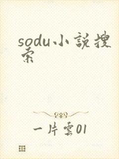 sodu小说搜索