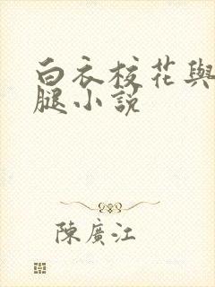 白衣校花与大长腿小说封面