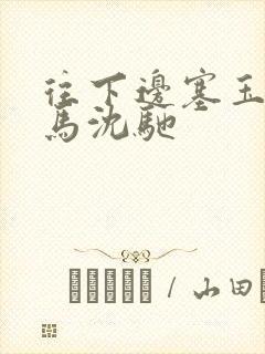 往下边塞玉器骑马沈驰封面
