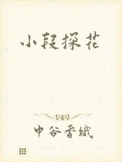 小段探花封面