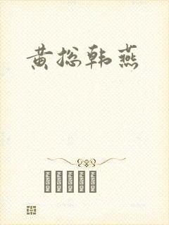 黄总韩燕封面