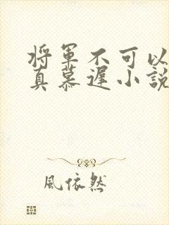 将军不可以魏云真慕迟小说笔趣阁