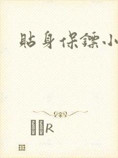 贴身保镖小说封面