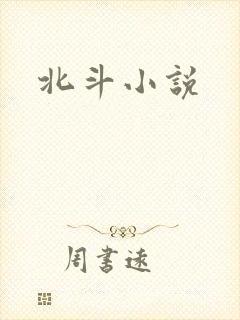 北斗小说