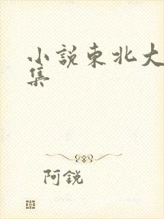 小说东北大炕全集封面