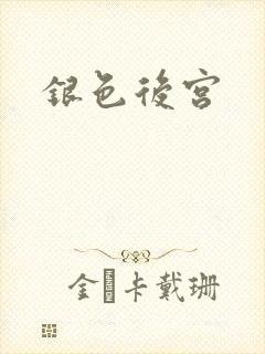 银色后宫