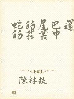 蛇的尾巴还在我的花丛中