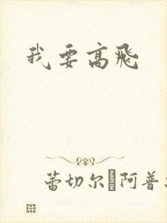 我要高飞