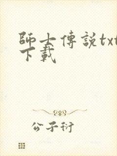 师士传说txt下载