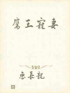 鹰王宠妻