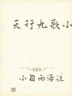 天行九歌小说封面