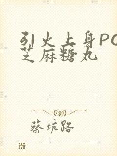 引火上身POP芝麻糖丸