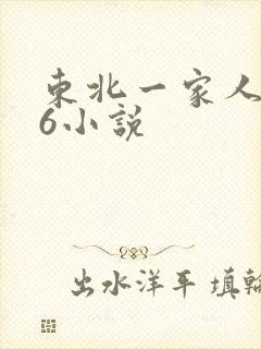 东北一家人1一6小说