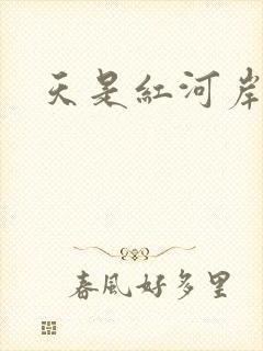 天是红河岸小说封面