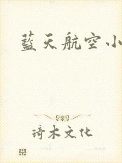 蓝天航空小说