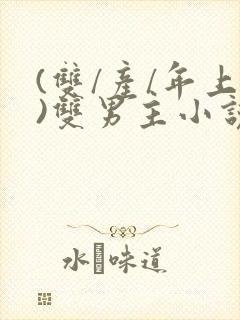 (双/产/年上)双男主小说