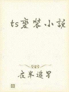 ts变装小说