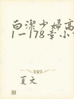 白洁少妇高义第1一178章小说