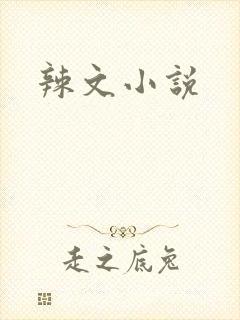 辣文小说