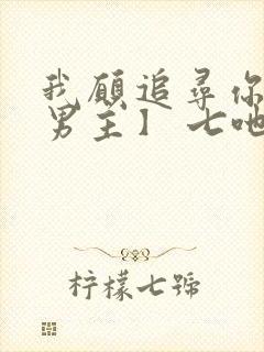 我愿追寻你【双男主】 七吔