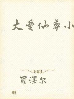 大爱仙尊小说封面