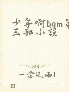少年啊bgm第三部小说