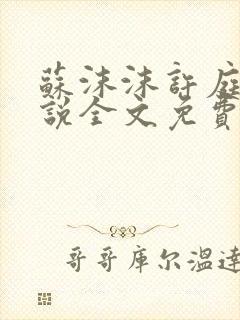 苏沫沫许庭川小说全文免费阅读