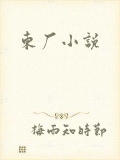 东厂小说封面