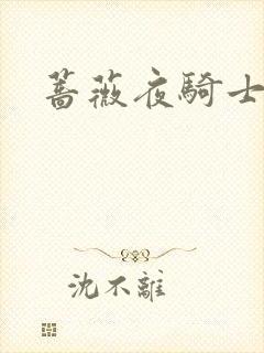 蔷薇夜骑士