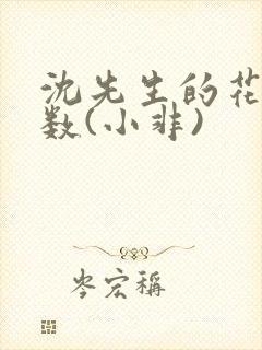 沈先生的花式调数(小非)封面