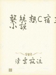 系统想C宿主的小说