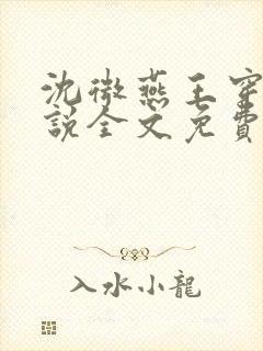 沈微燕王穿越小说全文免费阅读
