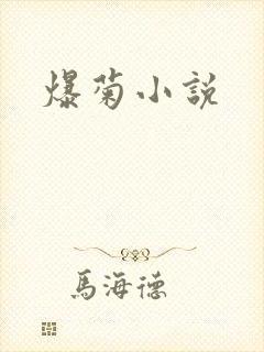 爆菊小说