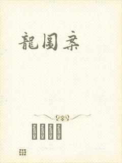 龙图案