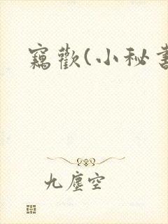 窃欢(小秘书)封面