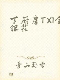 下厨房TXl金银花