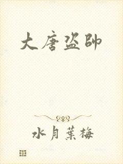 大唐盗帅