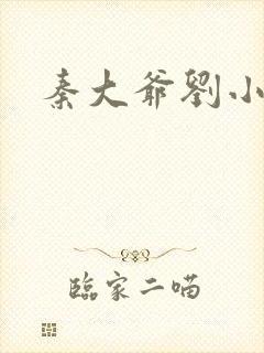 秦大爷刘小静封面