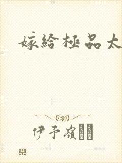 嫁给极品太子封面