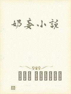 奶妾小说