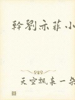 干刘亦菲小说