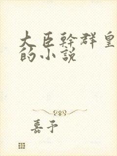 大臣干群皇太后的小说