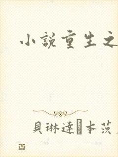 小说重生之官道封面