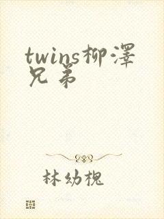 twins柳泽兄弟