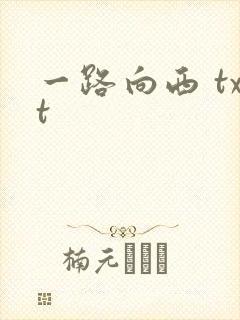 一路向西 txt封面