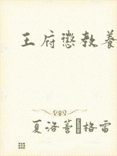 王府惩教养日常