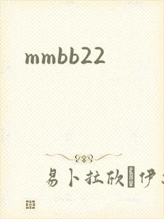 mmbb22封面