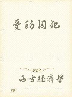 爱的囚犯封面