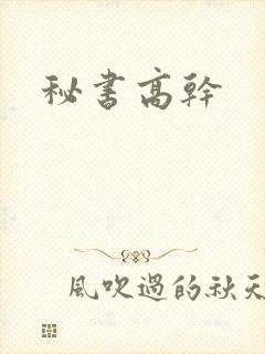 秘书高干
