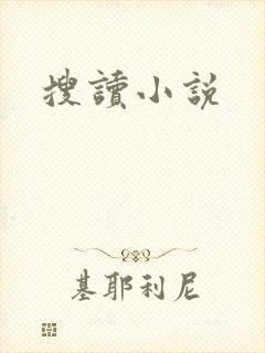 搜读小说封面